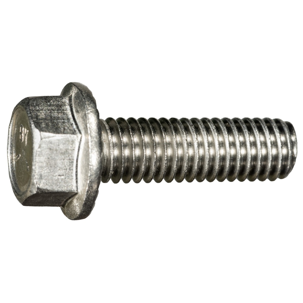 3/8-16 x 1-1/4 Ser Flang Blt SS