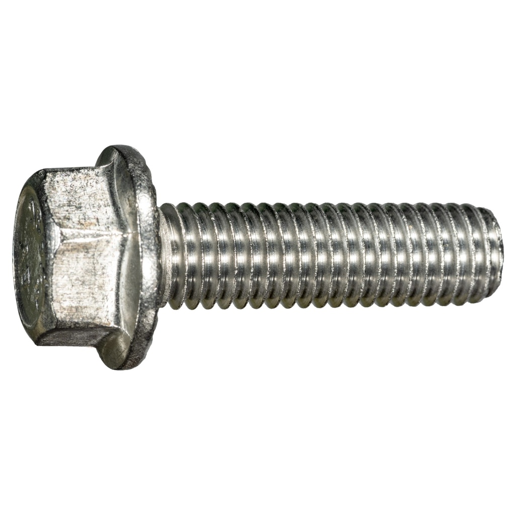 1/2-13 x 1-3/4 Ser Flang Blt SS