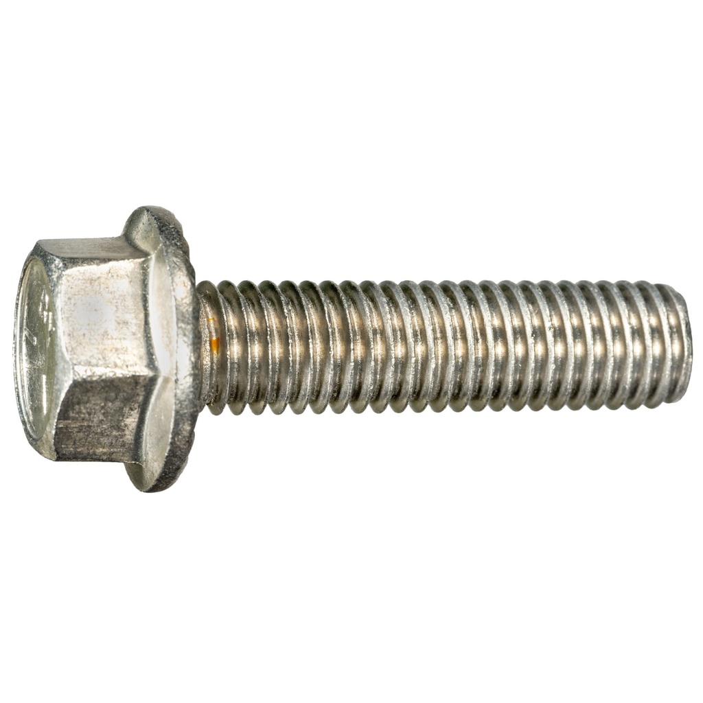 1/2-13 x 2 Ser Flang Blt SS