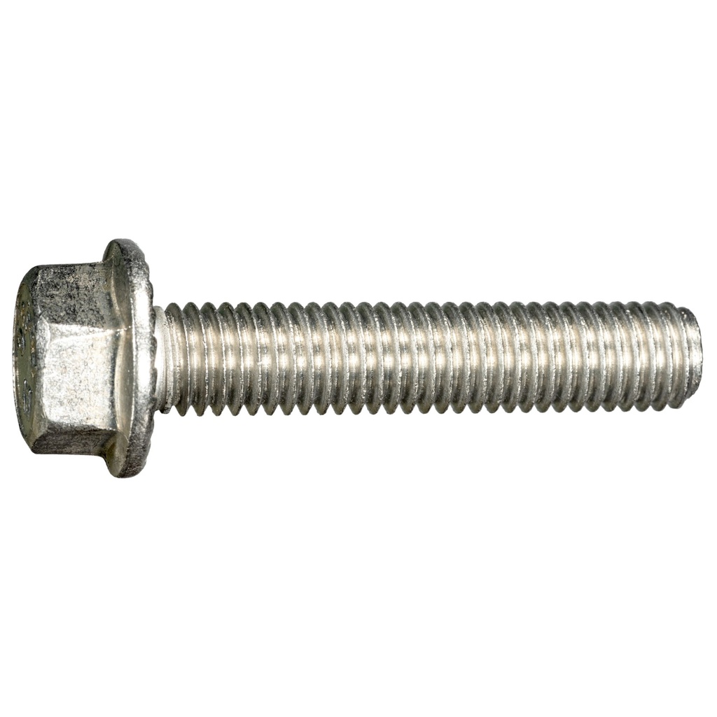 1/2-13 x 2-1/2 Ser Flang Blt SS