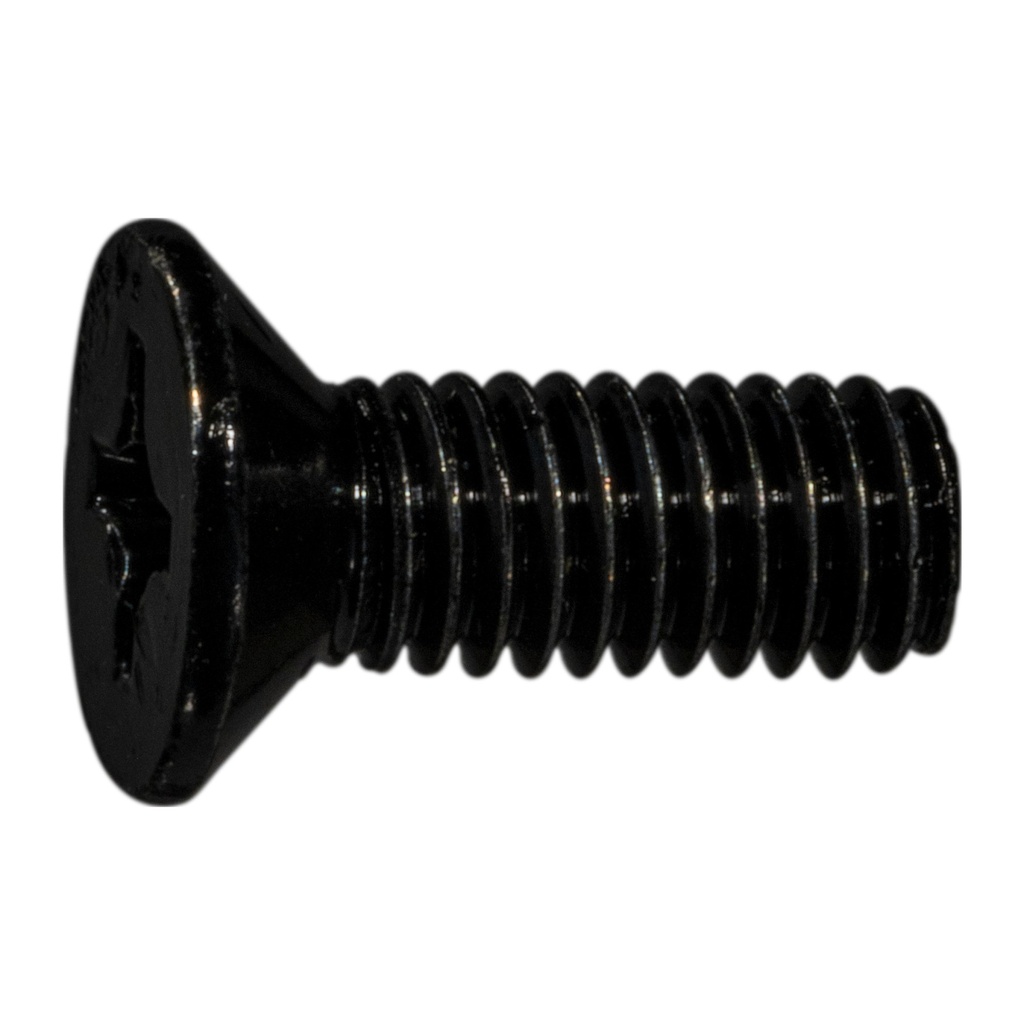 6mm-1.0 x 16mm Ph Flt MS Blk Zn