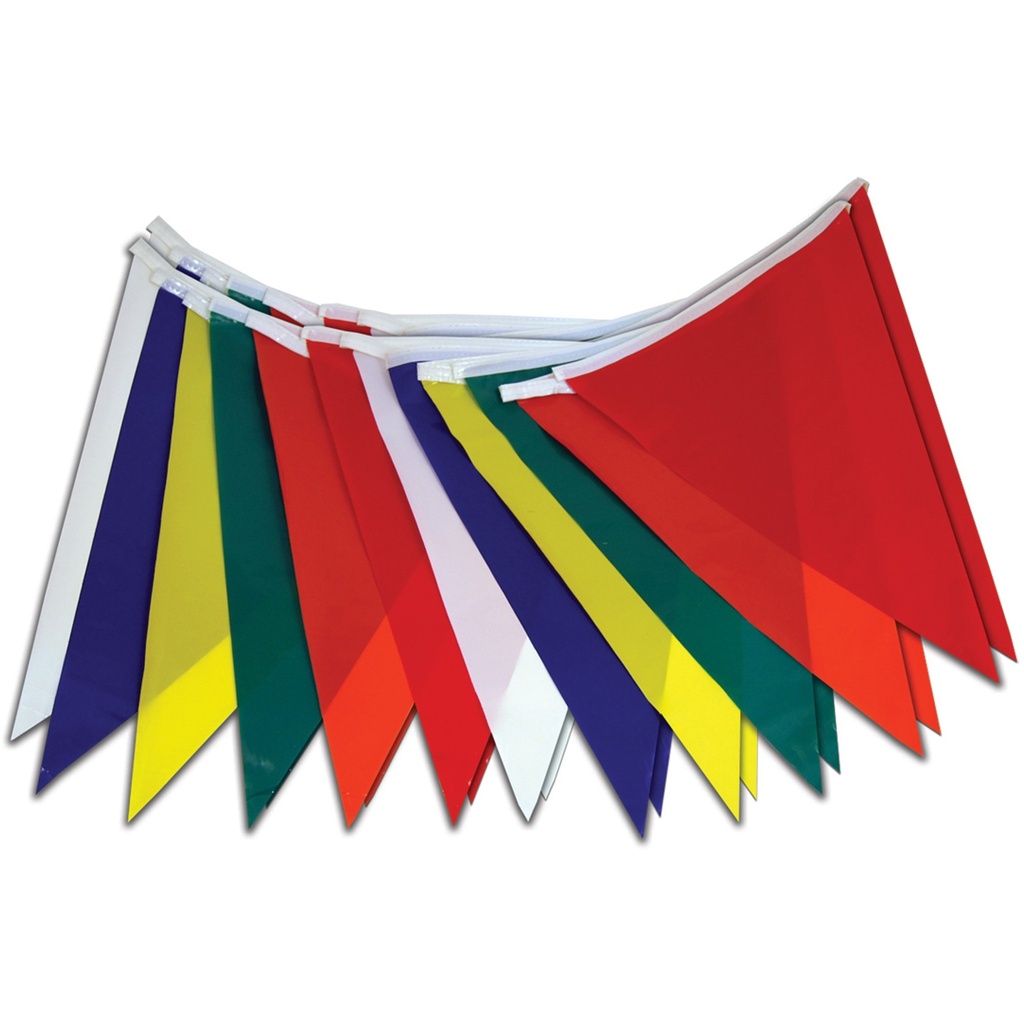 [MFA20225] 50FT MULTICOLOR PENNANT FLAGS