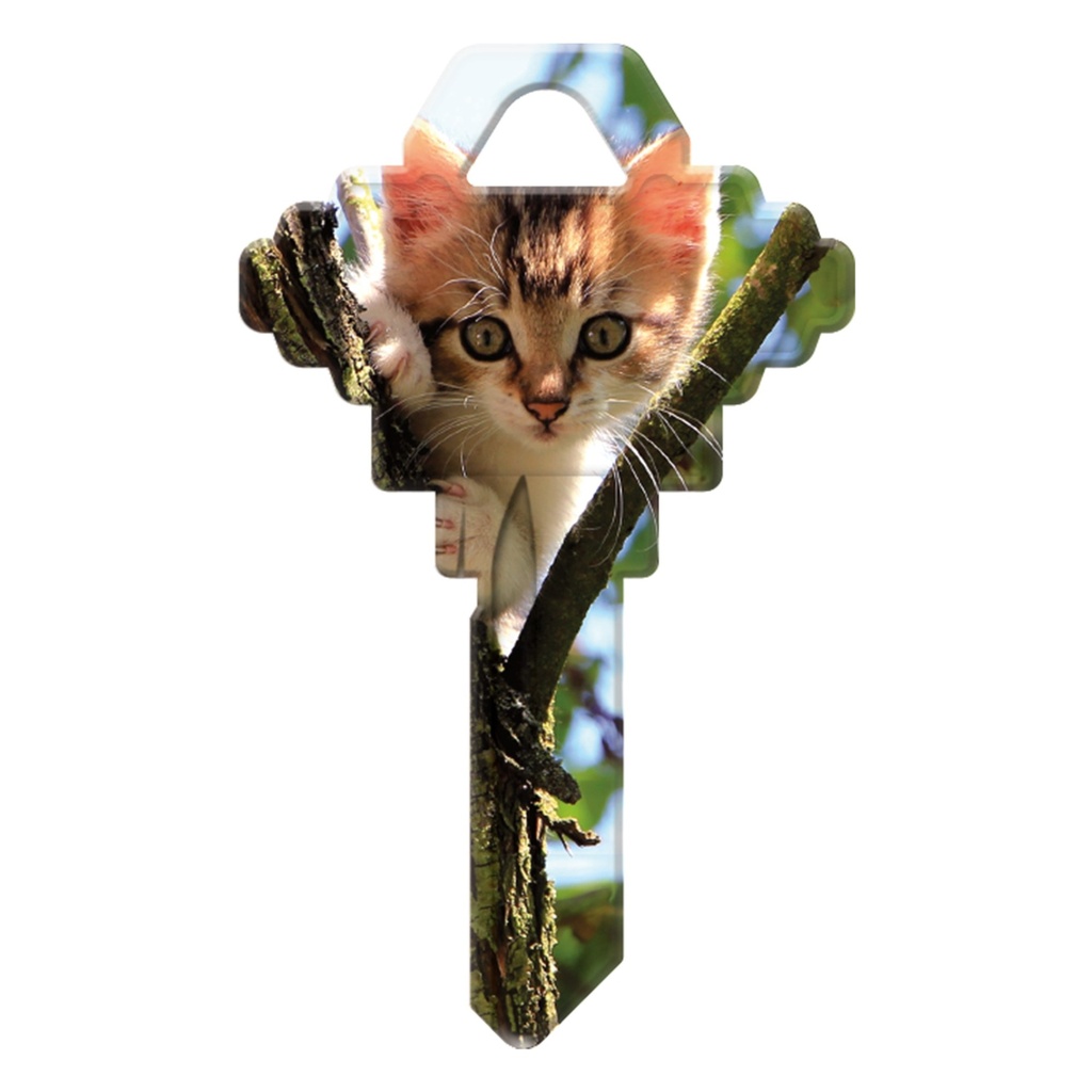 [MFA72815] SC1-KL008 KEYBLANK KITTY