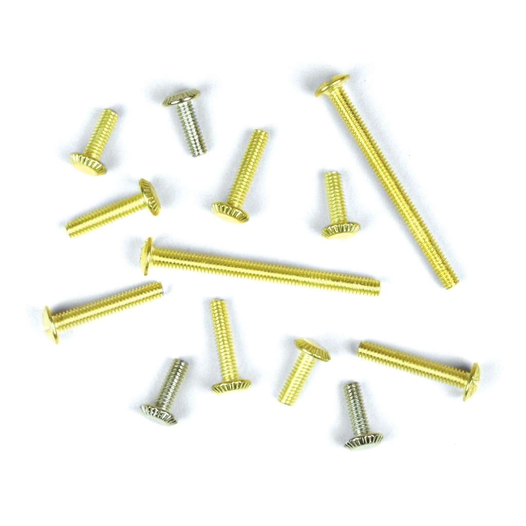 SCREWS(13) ASSORTED