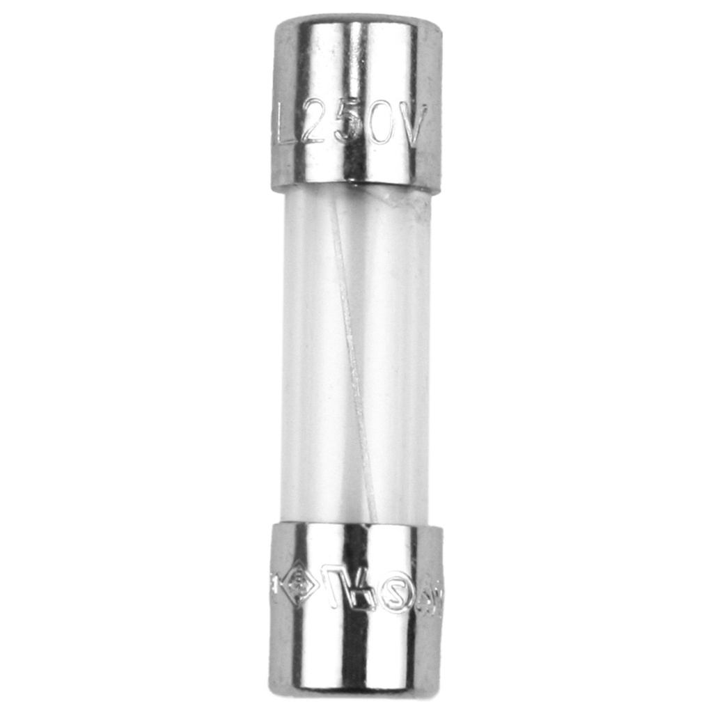 FUSE S506 8A TIME DELAY GLASS P