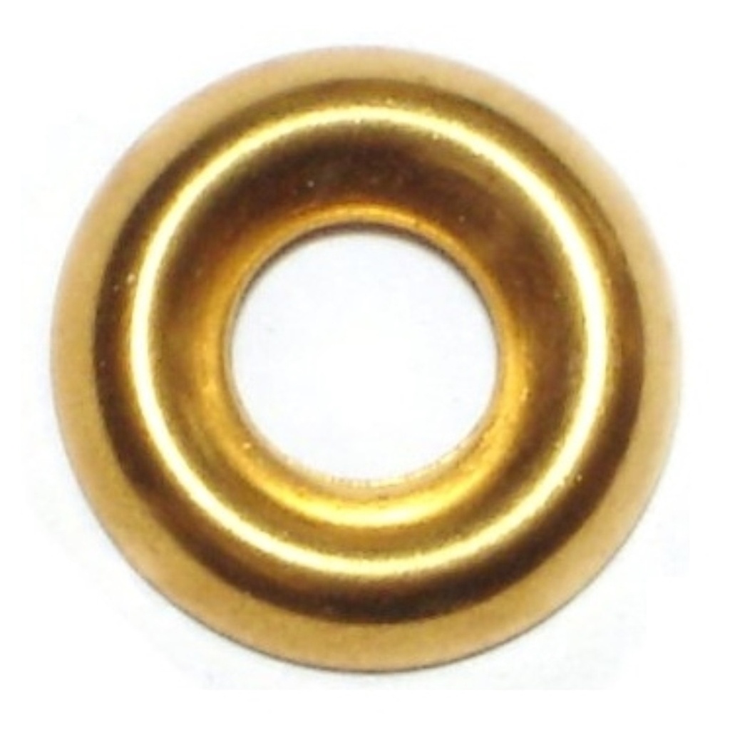 #10 Finish Washer Br