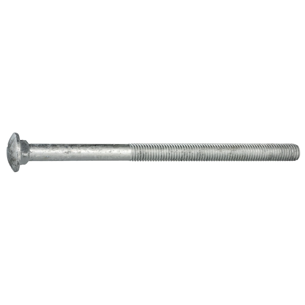 5/8-11 x 8 Carriage Blt HDG
