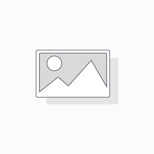 2" T20 Torx® Power Bit